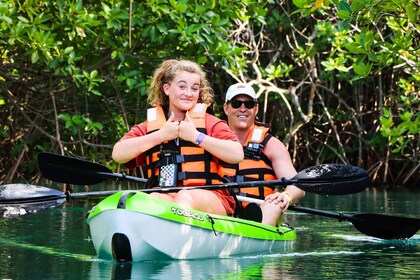 Cancún: aventura matutina en kayak