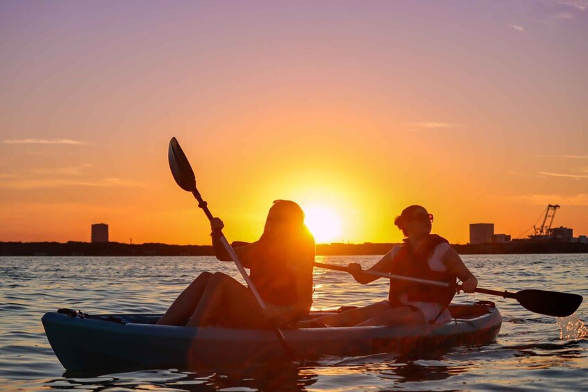 Picture 20 for Activity Cancun: Morning Kayak Adventure