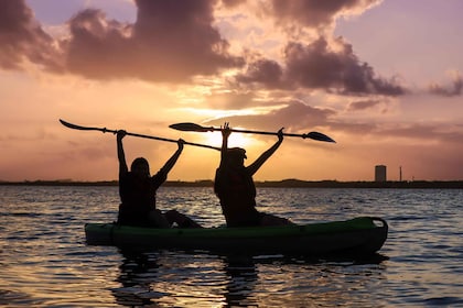 Cancún: Aventura matutina en Kayak