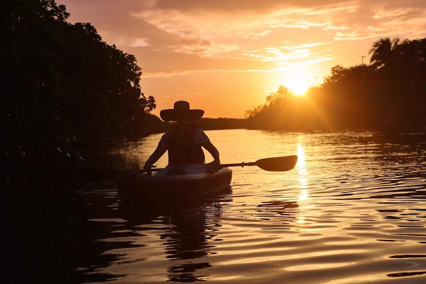 Picture 16 for Activity Cancun: Morning Kayak Adventure