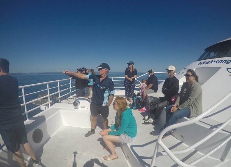 Picture 8 for Activity Hervey Bay: Half-Day Whale Watching Cruise with Meal