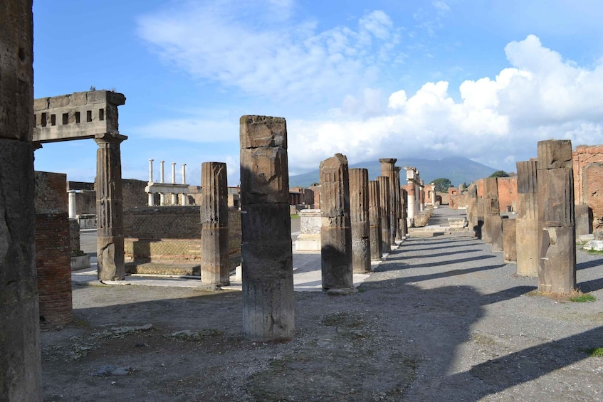 Picture 2 for Activity Pompeii: 2-Hour Guided Tour with an Archaeologist