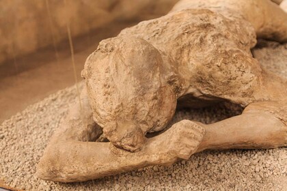 Pompéi : visite guidée de 2 heures avec un archéologue