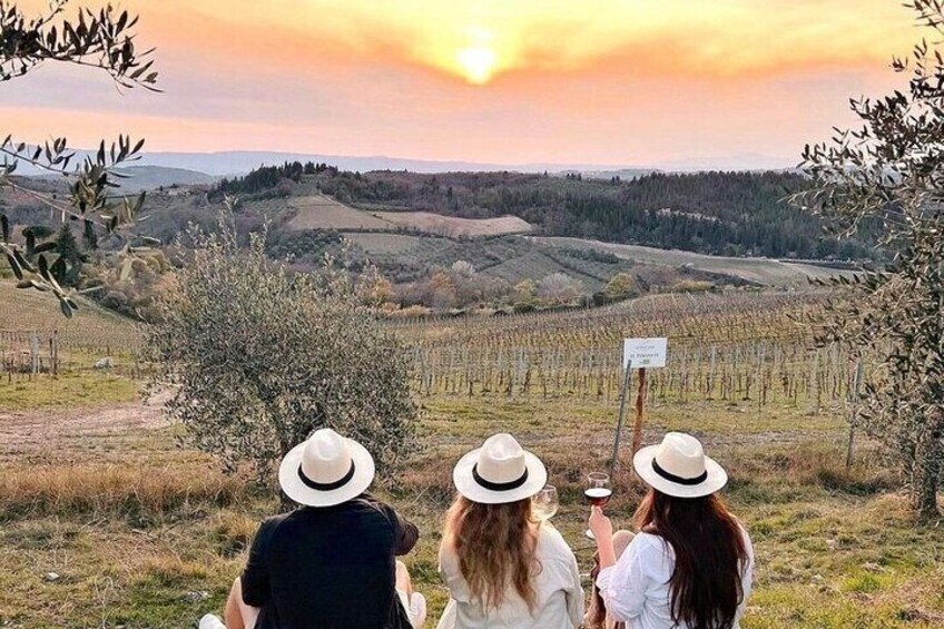 Pisa, Lucca & Cheese Farm with wine tasting Private Tour