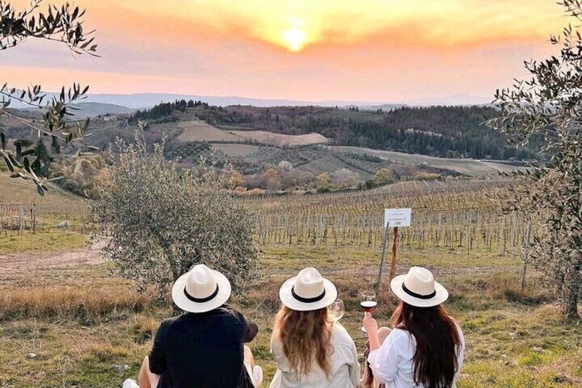 Pisa, Lucca & Cheese Farm with wine tasting Private Tour