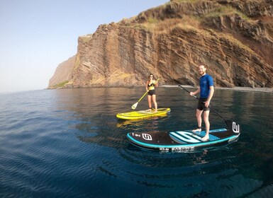 Madeira: Papan Dayung & Snorkeling Pribadi