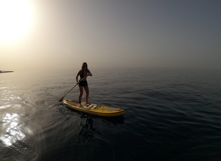 Picture 3 for Activity Madeira: Private Paddleboard & Snorkel