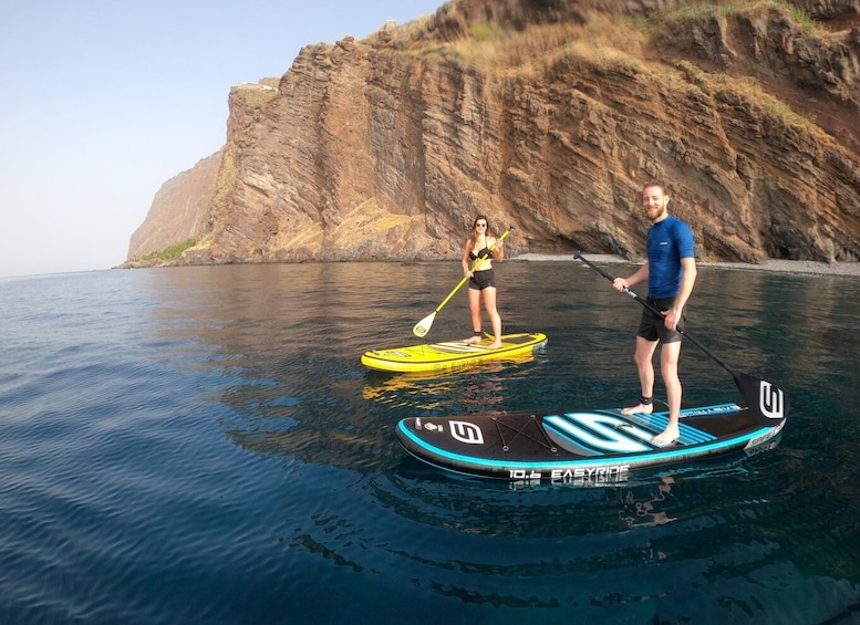 Madeira: Private Paddleboard & Snorkel