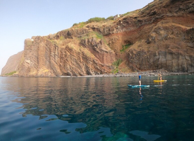 Picture 5 for Activity Madeira: Private Paddleboard & Snorkel