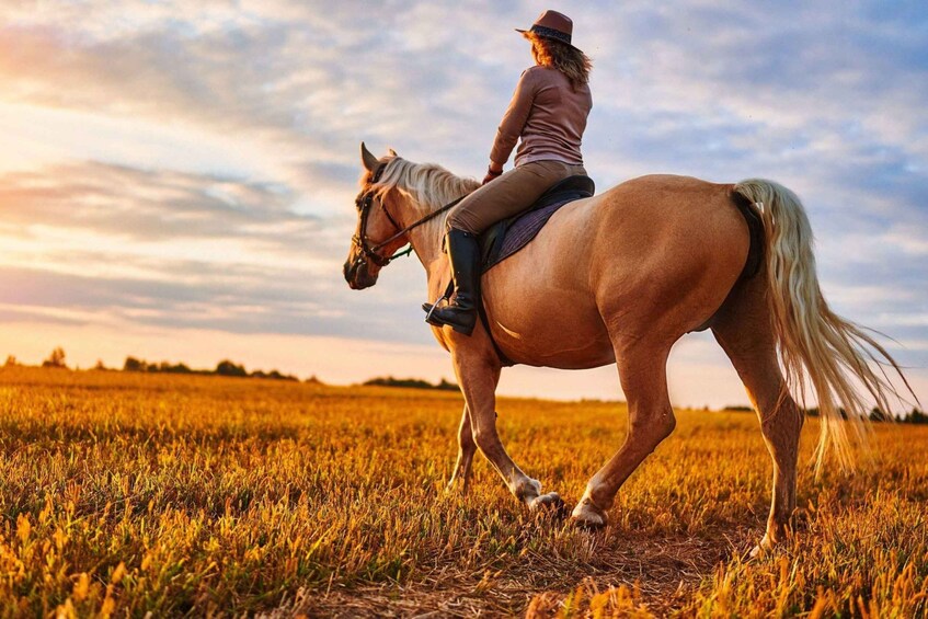 Picture 1 for Activity Agadir: Beach and Ranch Horse Riding Tour