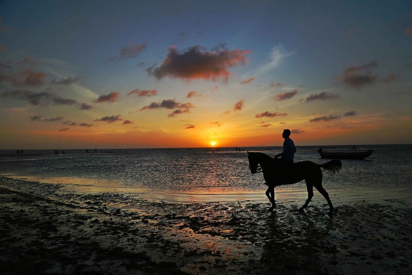 Picture 10 for Activity Agadir: Beach and Ranch Horse Riding Tour