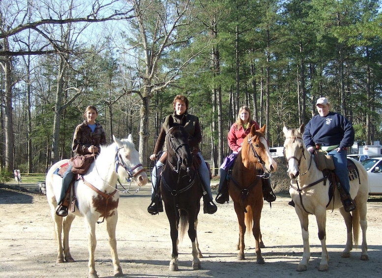 Picture 7 for Activity Agadir: Forest and Sand Dunes Guided Horse Riding