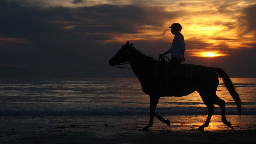 Picture 9 for Activity Agadir: Beach and Ranch Horse Riding Tour