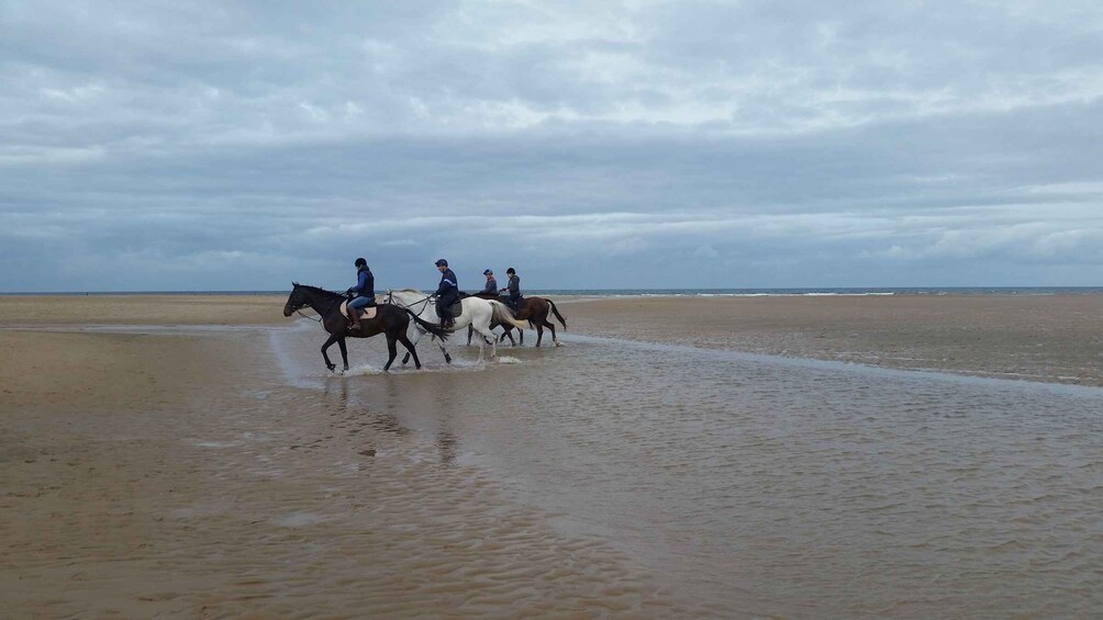 Picture 6 for Activity Agadir: Beach and Ranch Horse Riding Tour