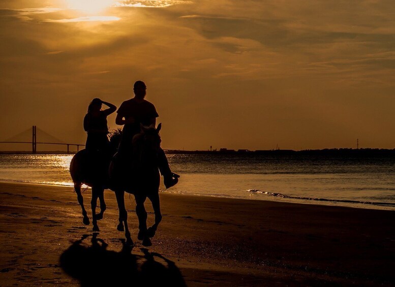 Picture 4 for Activity Agadir: Beach and Ranch Horse Riding Tour