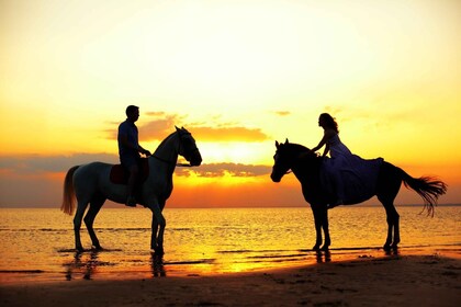 Agadir ou Taghazout : 2 heures de randonnée à cheval au coucher du soleil o...