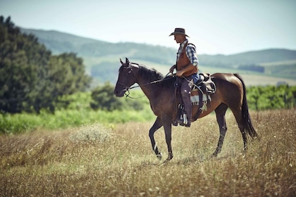 Agadir: Wald und Sanddünen - Geführter Ausritt