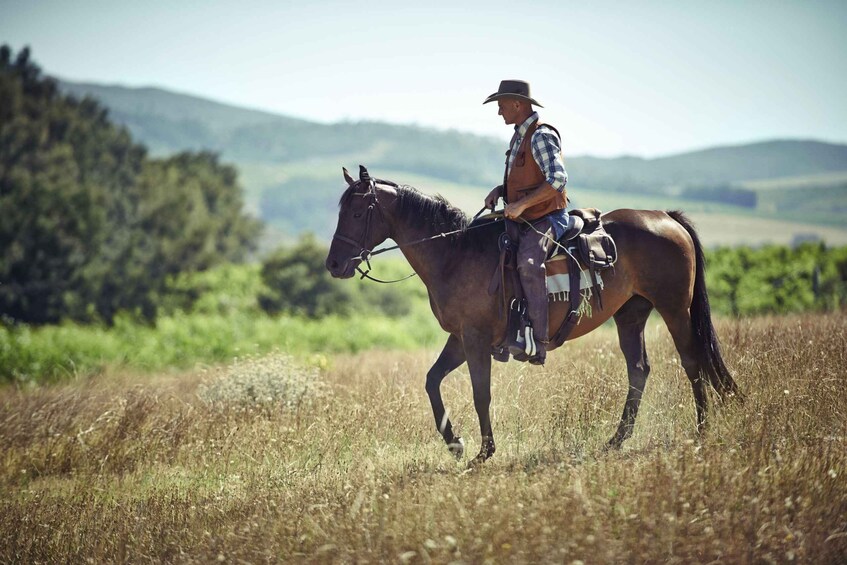 Picture 2 for Activity Agadir: Beach and Ranch Horse Riding Tour