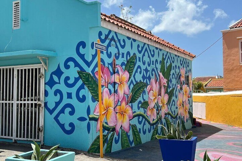 Curacao City Highlights 4-Hour Tour