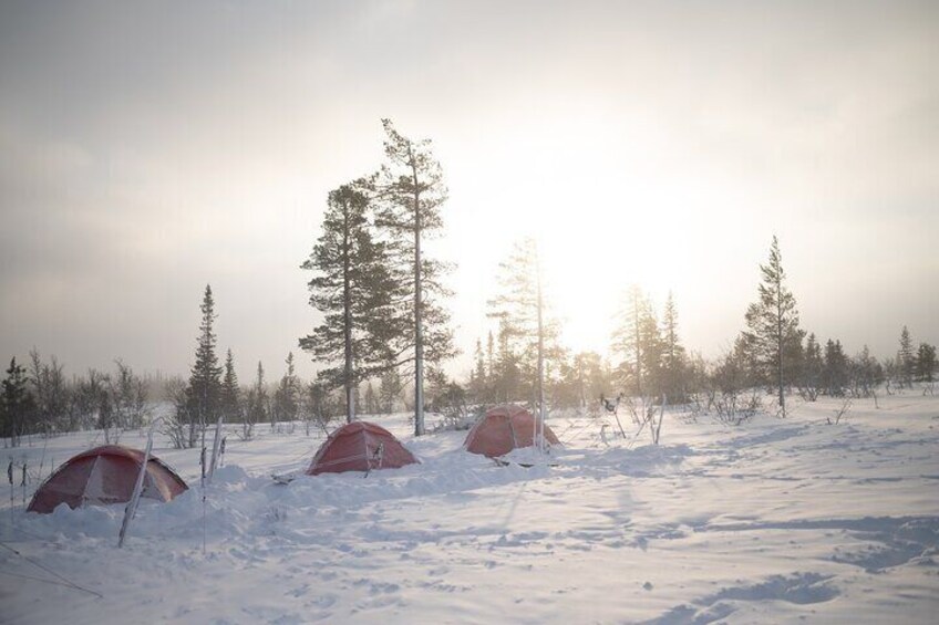 Ski Touring and Winter Fun in Fulufjallet Mountain Plateau
