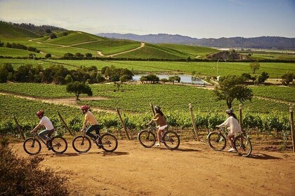 Casablanca Wine Tour