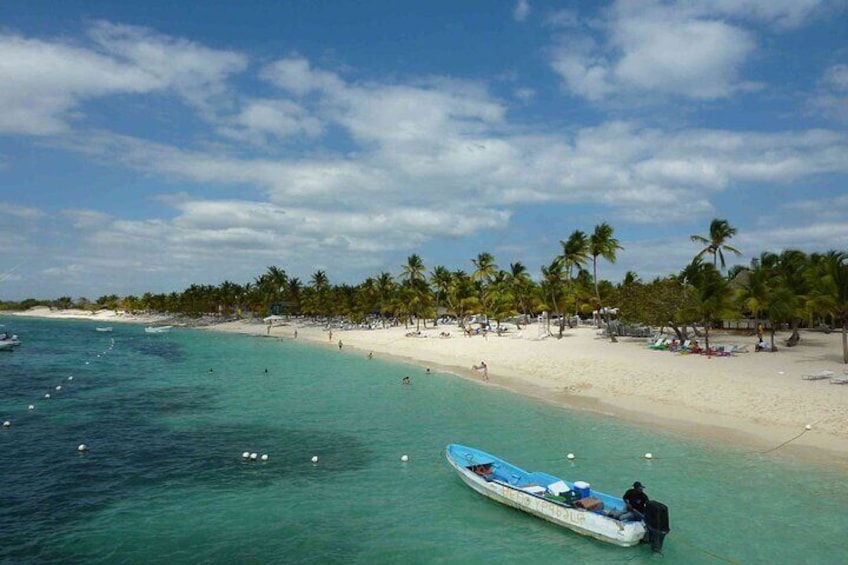 Snorkeling Adventure and Explore Catalina Island from Punta Cana