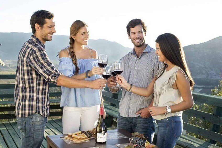 Wine Tour in Santa Cruz Vineyard