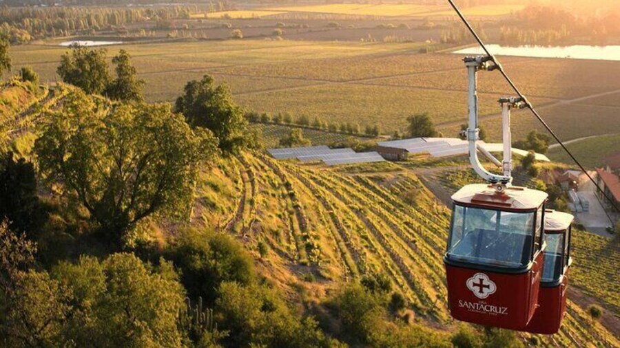 Wine Tour in Santa Cruz Vineyard