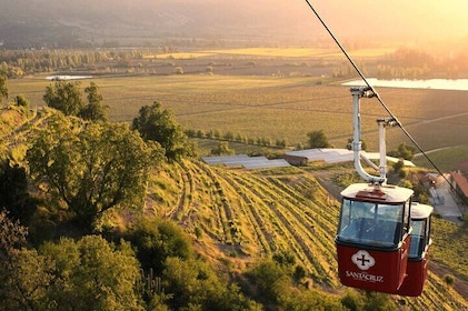 Wine Private Tour in Santa Cruz Vineyard