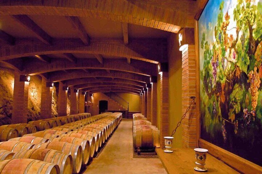 Wine Tour in Santa Cruz Vineyard