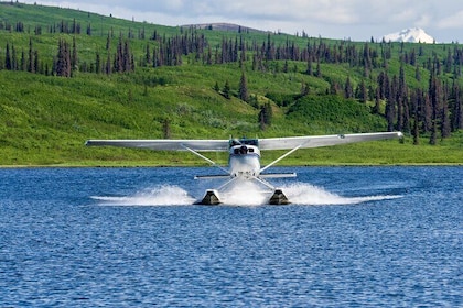 30 Minutes Seaplane Ride in Talkeetna
