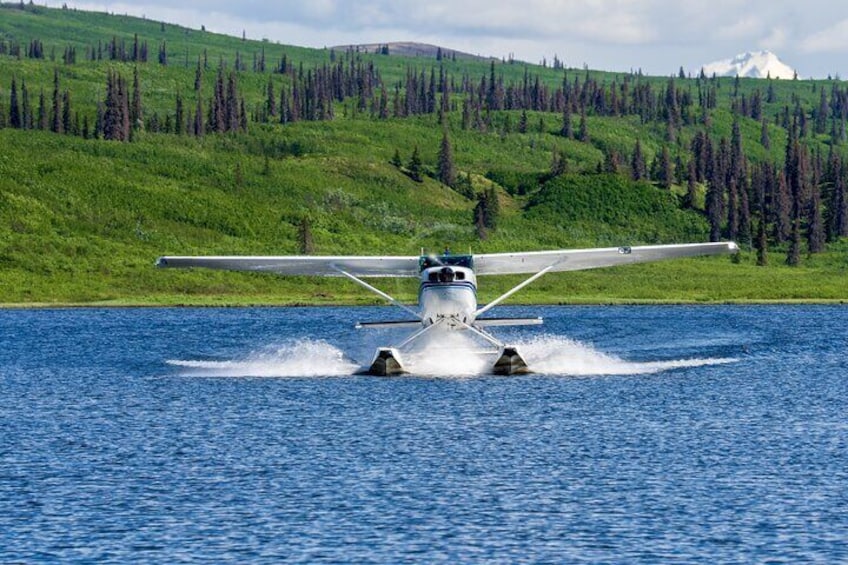 30 Minutes Seaplane Ride in Talkeetna