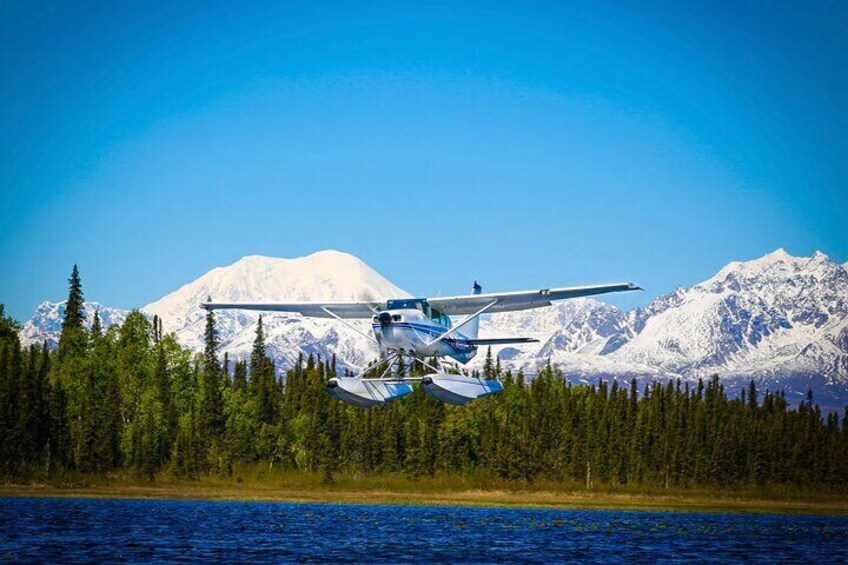 Snow caped mountain