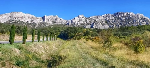 Desde Marsella: tour vinícola Les Baux de Provence de día completo