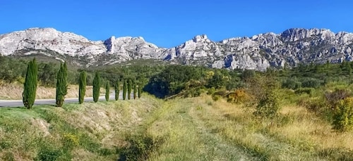 Från Marseille: Heldags Les Baux de Provence vintur