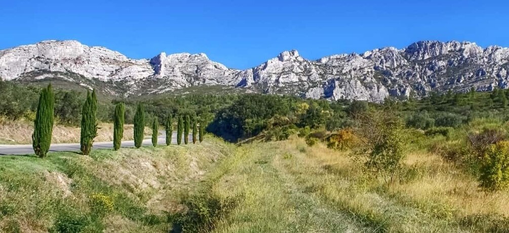 From Marseille: Full-Day Les Baux de Provence Wine Tour