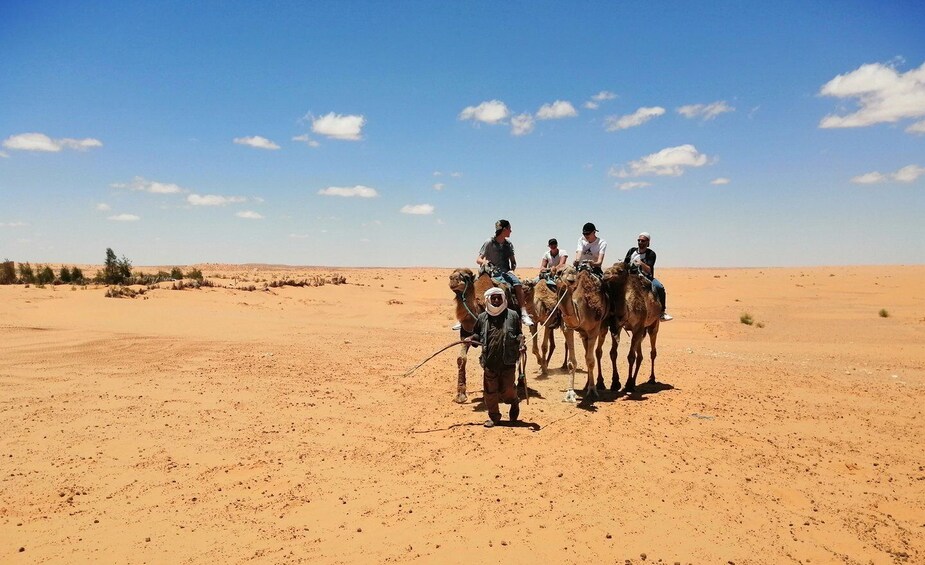 Picture 16 for Activity From Djerba: Full-Day Ksar Ghilane Hot Spring and Villages