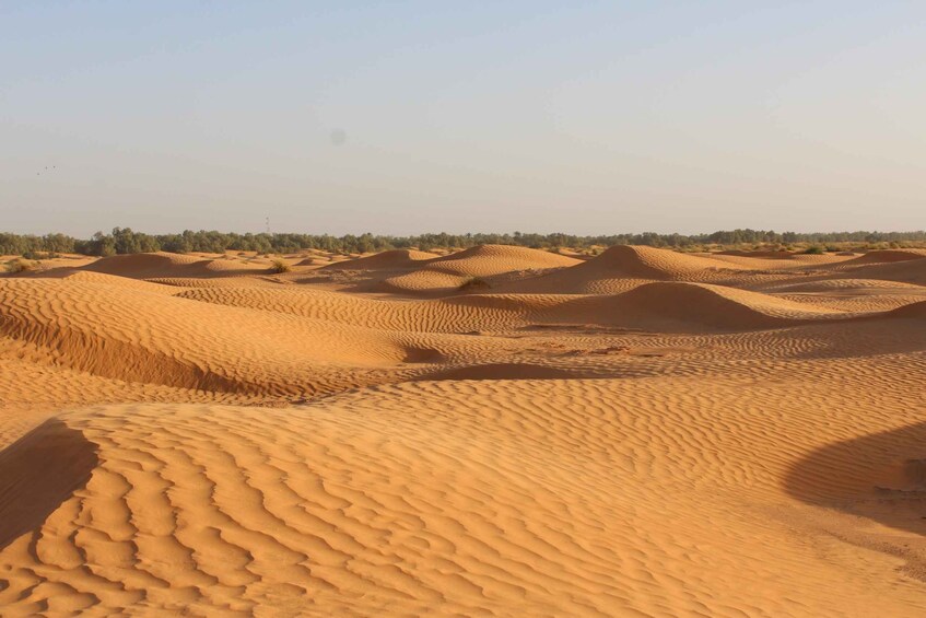 Picture 4 for Activity From Djerba: Full-Day Ksar Ghilane Hot Spring and Villages