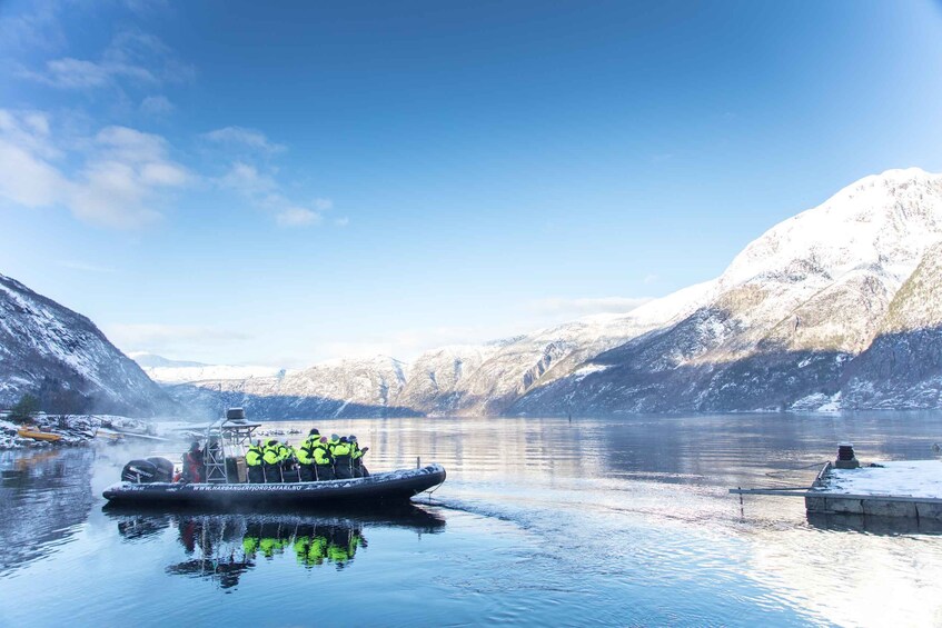 Picture 1 for Activity Eidfjord: 1-Hour Fjord RIB Tour