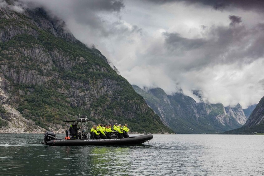 Picture 4 for Activity Eidfjord: 1-Hour Fjord RIB Tour