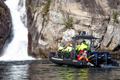 Eidfjord : 1-Hour Fjord RIB Tour