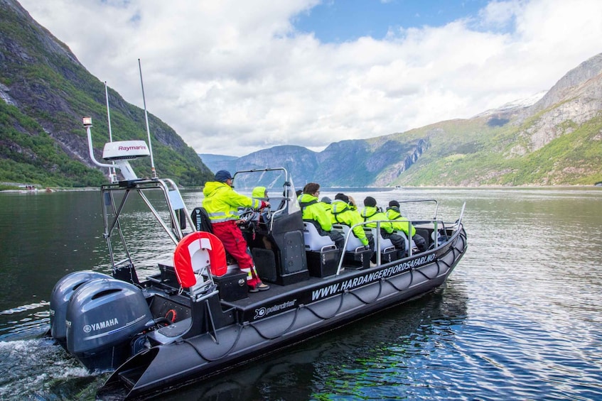 Picture 7 for Activity Eidfjord: 1-Hour Fjord RIB Tour