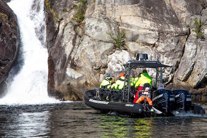 Eidfjord: tour in gommone del fiordo di un'ora