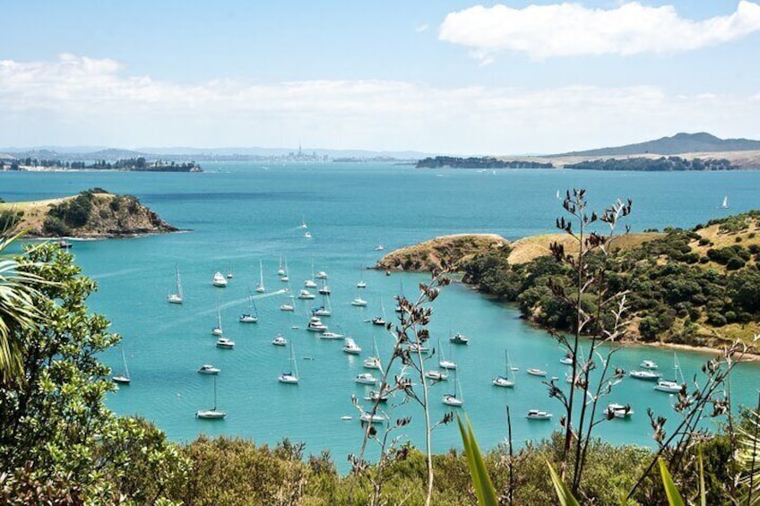 Waiheke Island Paradise 