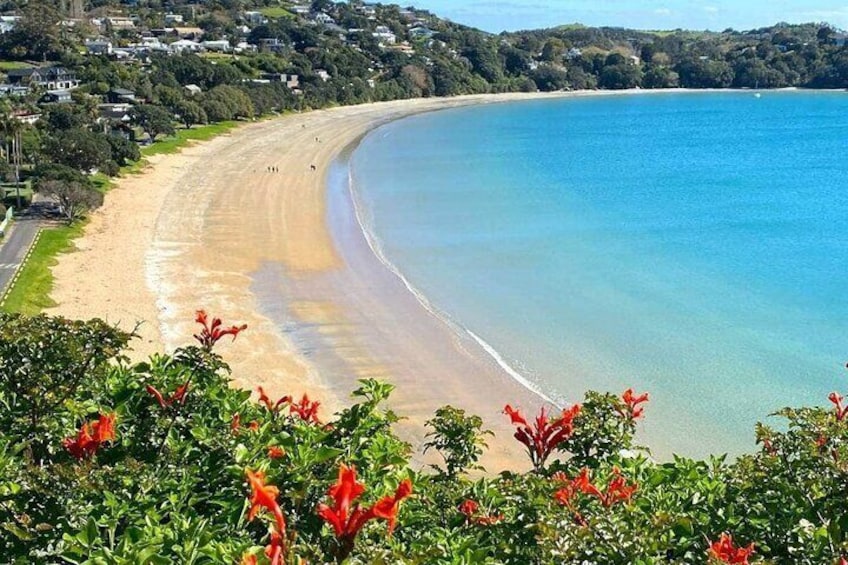 You get to walk on Waiheke beaches during our private tours 