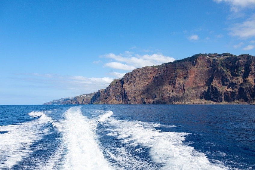 Living Sea Boat Trip in Madeira