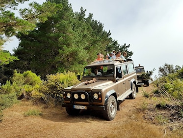 Nachhaltige Tour durch den Osten Madeiras im Geländewagen mit Mittagessen