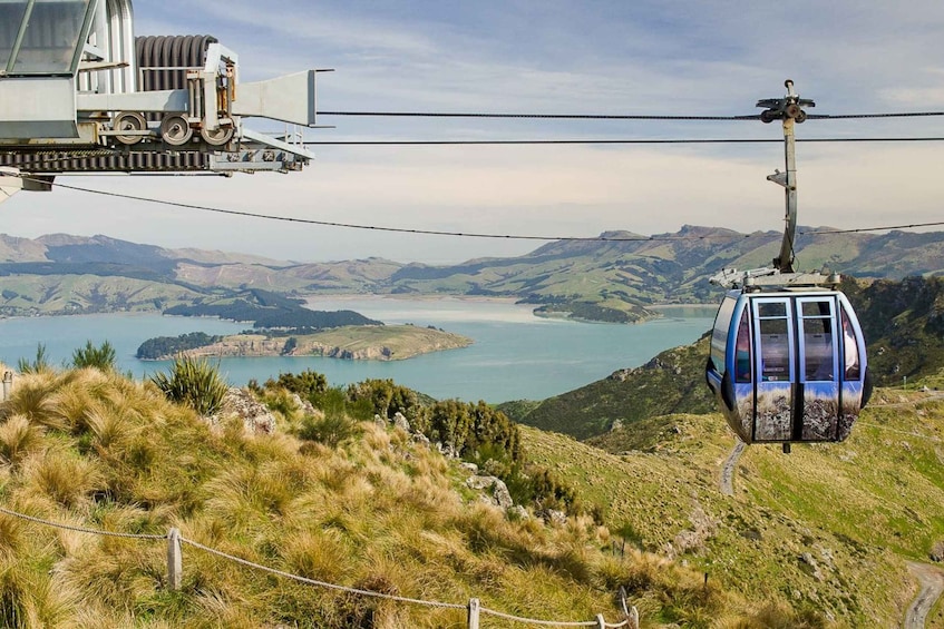 Picture 1 for Activity Christchurch Gondola and Tram City Tour Combo