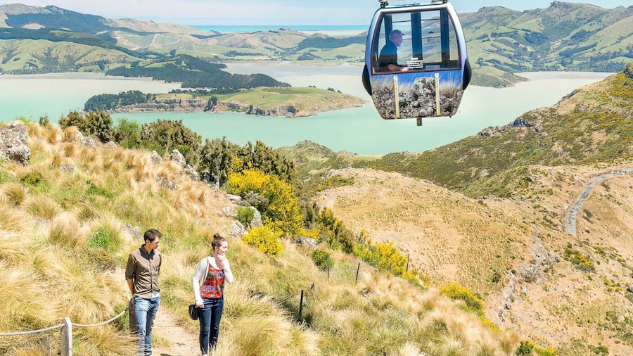 Christchurch Gondola and Tram City Tour Combo