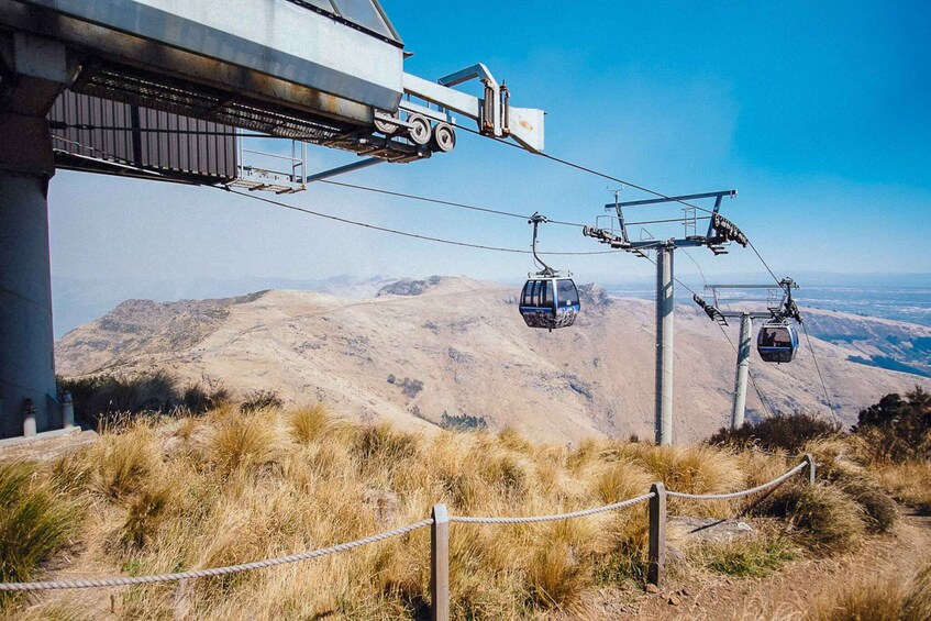 Picture 2 for Activity Christchurch Gondola and Tram City Tour Combo